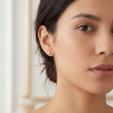 14k Yellow Gold and 0.75cttw Diamond Stud Earrings