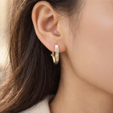 14k Yellow Gold and 0.30cttw Diamond Hoop Earrings