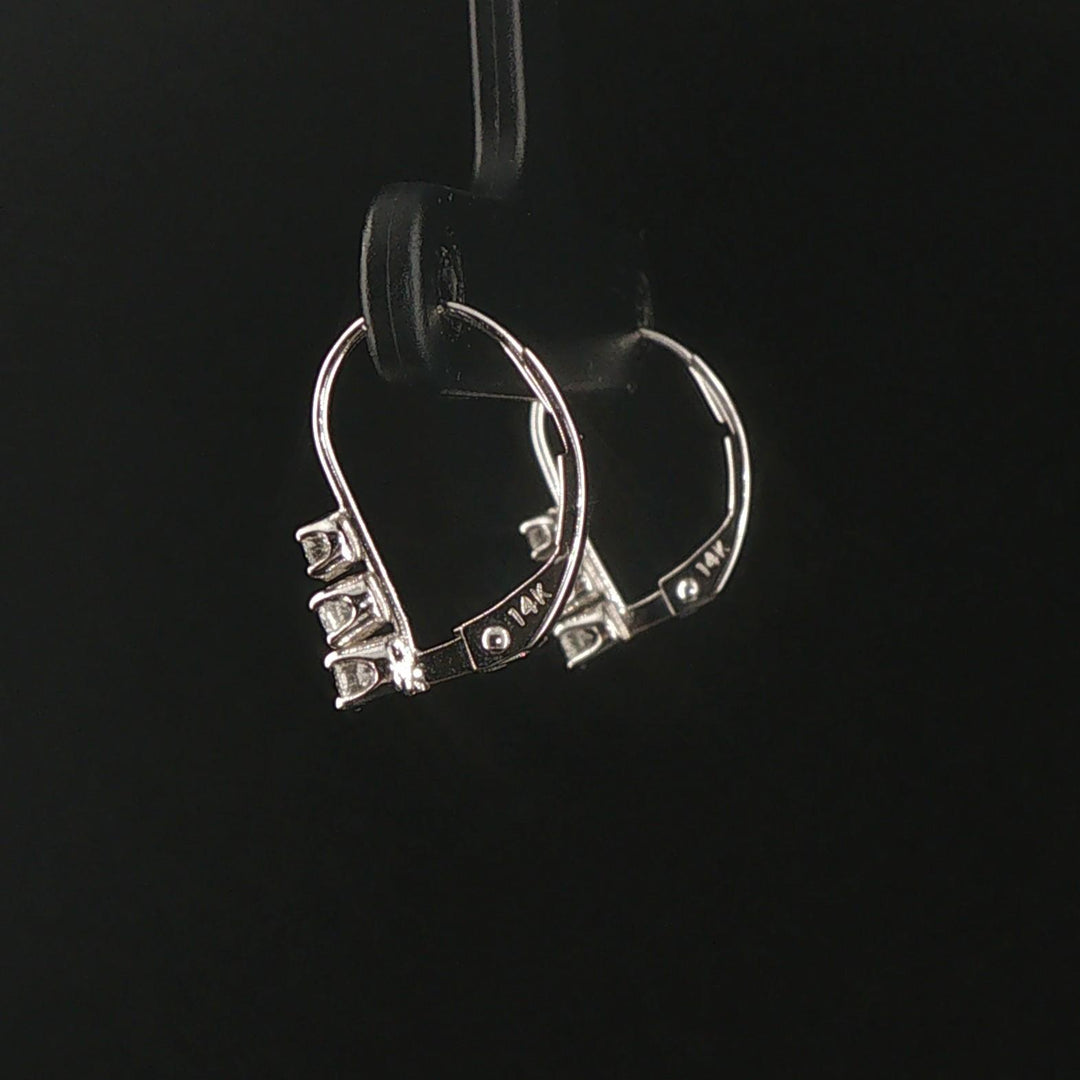14k White Gold and 0.12cttw Graduated Diamond Small Hoop Huggie Earrings
