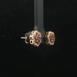 10k Yellow Gold Chocolate and White Diamond Stud Earrings