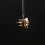 10k Yellow Gold Chocolate and White Diamond Stud Earrings