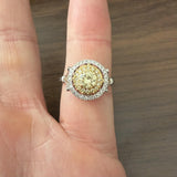 18k White Gold and 0.85cttw Yellow and White Diamond Halo Ring Size 7.25