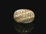 14k Yellow Gold and 5cttw White Yellow and Brown Diamond Bombe Ring Size 6